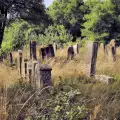 Вандали потрошиха гробищния парк в Петрич