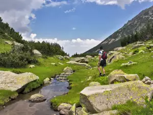 Ученици от Петрич се включиха в почистването на ПП Беласица