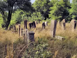 Вандали потрошиха гробищния парк в Петрич