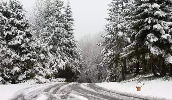 Община Петрич обяви процедура за обществена поръчка за снегопочистване