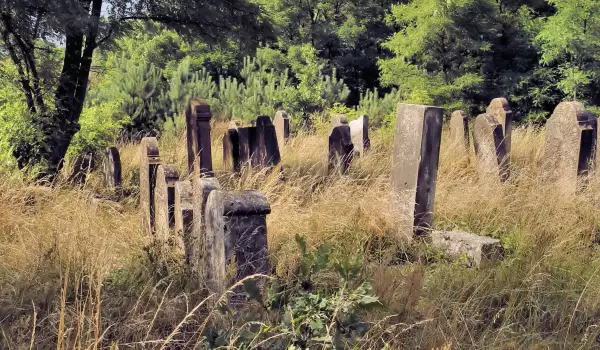 Вандали потрошиха гробищния парк в Петрич