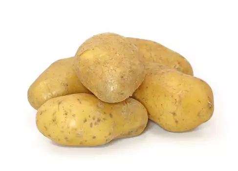 Немски инвеститори ще отглеждат картофи в Петрич