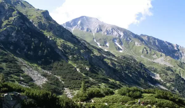 Туристка пострада в планината Славянка