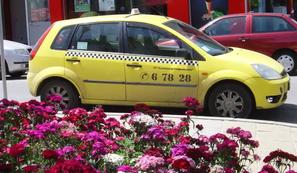 Таксиметровите шофьори в Петрич искат места за паркиране